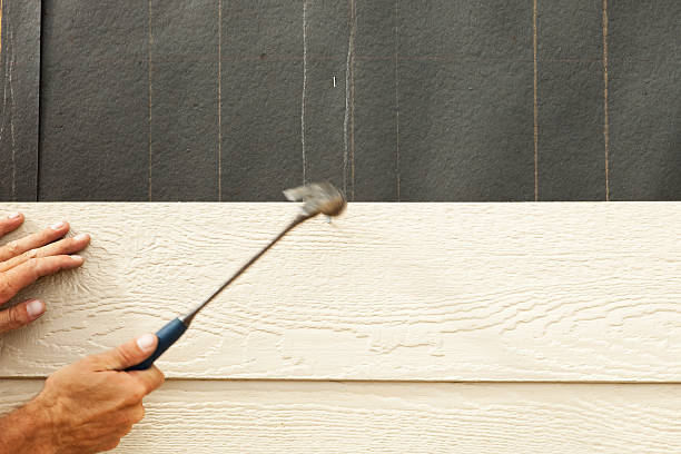 Best Engineered Wood Siding  in Dunlap, TN
